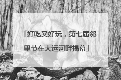 好吃又好玩，第七届邻里节在大运河畔揭幕