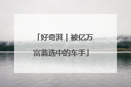 好奇湃｜被亿万富翁选中的车手