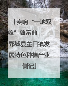 奏响“一地双收”致富曲——鄄城县董口镇发展特色种植产业侧记