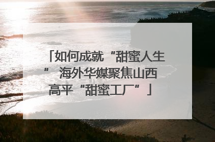 如何成就“甜蜜人生” 海外华媒聚焦山西高平“甜蜜工厂”