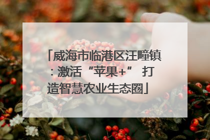 威海市临港区汪疃镇：激活“苹果+” 打造智慧农业生态圈