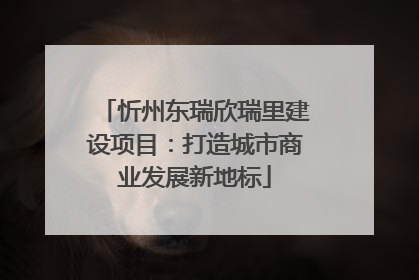 忻州东瑞欣瑞里建设项目：打造城市商业发展新地标
