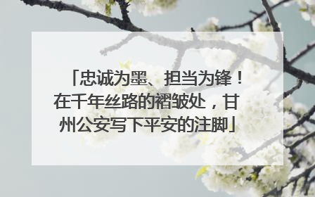 忠诚为墨、担当为锋！在千年丝路的褶皱处，甘州公安写下平安的注脚