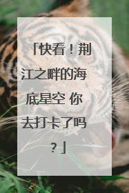 快看！荆江之畔的海底星空 你去打卡了吗？