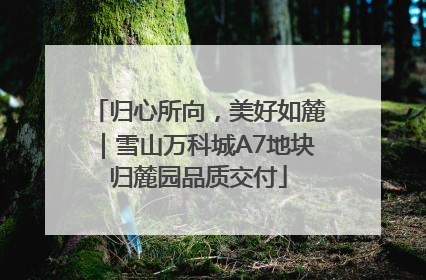 归心所向，美好如麓｜雪山万科城A7地块归麓园品质交付