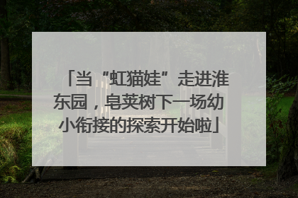 当“虹猫娃”走进淮东园，皂荚树下一场幼小衔接的探索开始啦