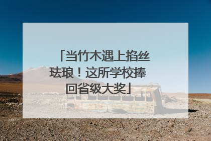 当竹木遇上掐丝珐琅！这所学校捧回省级大奖