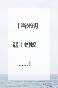 当光明遇上蚂蚁……