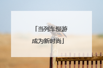 当列车慢游成为新时尚
