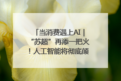 当消费遇上AI｜“苏超”再添一把火！人工智能将彻底颠覆绿茵场？