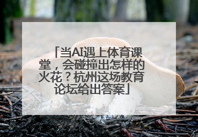 当AI遇上体育课堂，会碰撞出怎样的火花？杭州这场教育论坛给出答案