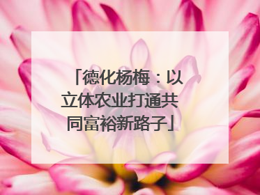 德化杨梅：以立体农业打通共同富裕新路子