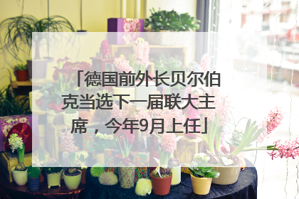 德国前外长贝尔伯克当选下一届联大主席，今年9月上任