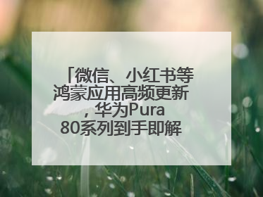 微信、小红书等鸿蒙应用高频更新，华为Pura 80系列到手即解锁全新体验！