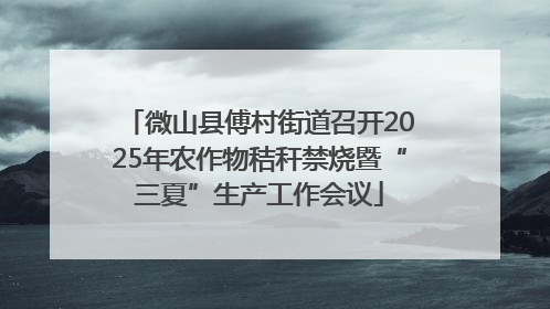 微山县傅村街道召开2025年农作物秸秆禁烧暨“三夏”生产工作会议