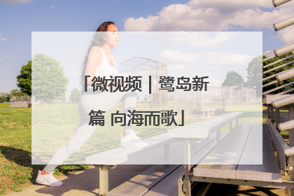 微视频｜鹭岛新篇 向海而歌