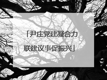 尹庄党建凝合力 联建议事促振兴