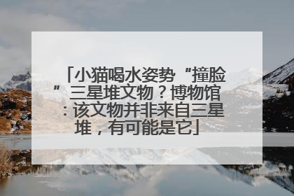 小猫喝水姿势“撞脸”三星堆文物？博物馆：该文物并非来自三星堆，有可能是它