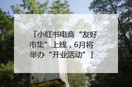 小红书电商“友好市集”上线，6月将举办“开业活动”