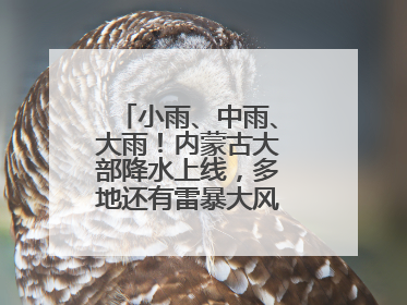 小雨、中雨、大雨！内蒙古大部降水上线，多地还有雷暴大风或冰雹天气