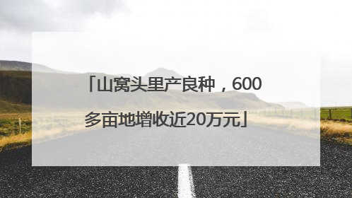 山窝头里产良种，600多亩地增收近20万元
