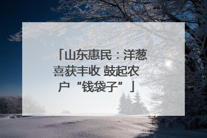 山东惠民：洋葱喜获丰收 鼓起农户“钱袋子”