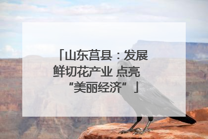 山东莒县：发展鲜切花产业 点亮“美丽经济”