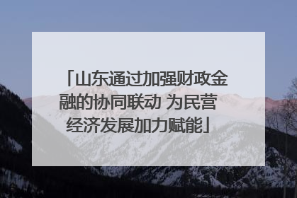 山东通过加强财政金融的协同联动 为民营经济发展加力赋能