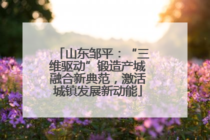 山东邹平：“三维驱动”锻造产城融合新典范，激活城镇发展新动能