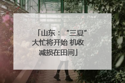 山东：“三夏”大忙将开始 机收减损在田间