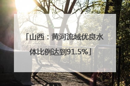 山西：黄河流域优良水体比例达到91.5%