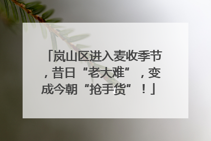 岚山区进入麦收季节，昔日“老大难”，变成今朝“抢手货”！