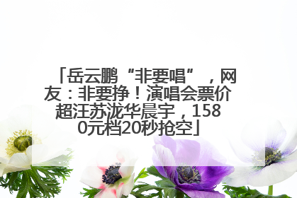 岳云鹏“非要唱”，网友：非要挣！演唱会票价超汪苏泷华晨宇，1580元档20秒抢空