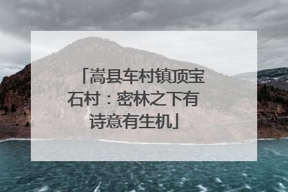 嵩县车村镇顶宝石村：密林之下有诗意有生机