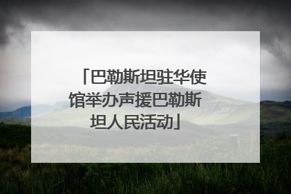 巴勒斯坦驻华使馆举办声援巴勒斯坦人民活动