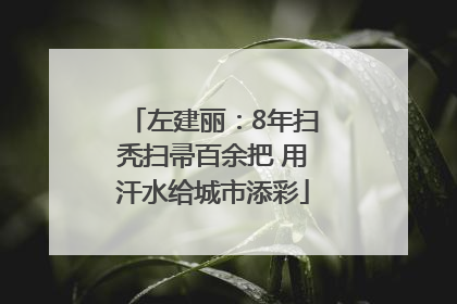 左建丽：8年扫秃扫帚百余把 用汗水给城市添彩