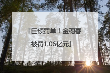 巨额罚单！金穗春被罚1.06亿元