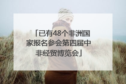 已有48个非洲国家报名参会第四届中非经贸博览会