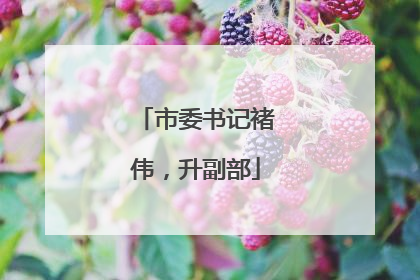 市委书记褚伟，升副部