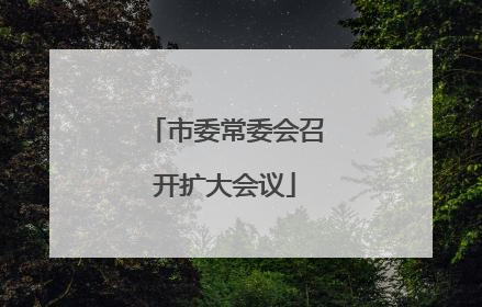 市委常委会召开扩大会议