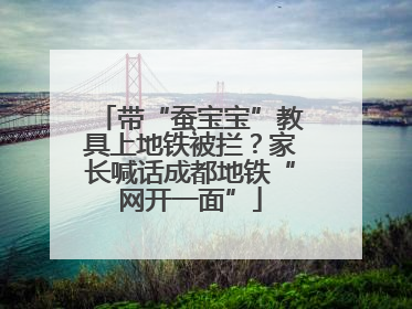 带“蚕宝宝”教具上地铁被拦？家长喊话成都地铁“网开一面”