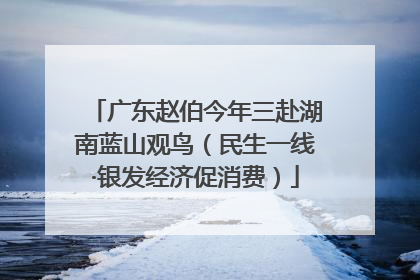 广东赵伯今年三赴湖南蓝山观鸟（民生一线·银发经济促消费）