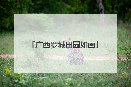 广西罗城田园如画