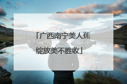 广西南宁美人蕉绽放美不胜收