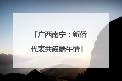 广西南宁：新侨代表共叙端午情