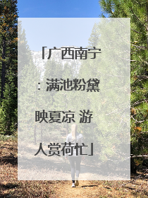 广西南宁：满池粉黛映夏凉 游人赏荷忙