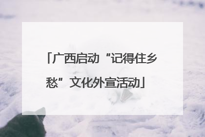 广西启动“记得住乡愁”文化外宣活动