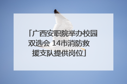 广西安职院举办校园双选会 14市消防救援支队提供岗位