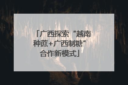 广西探索“越南种蔗+广西制糖”合作新模式