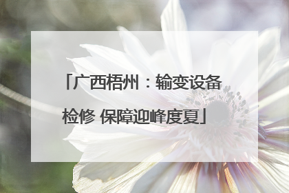 广西梧州：输变设备检修 保障迎峰度夏